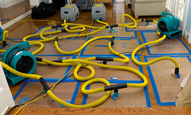 Professional Water Extraction technician working in Centre, AL